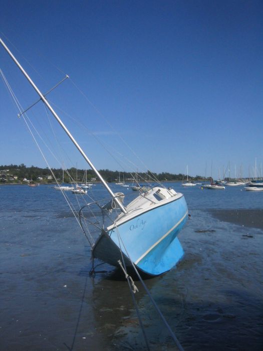 gal/2006-05-05 Careening/IMG_3154.jpg